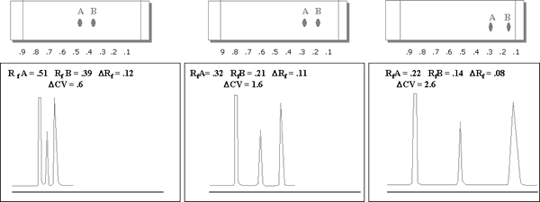 Predicting the sample load capacity of the column