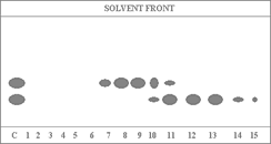 Complete Resolution with SSIM