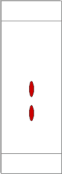 TLC Plate using Hexane:H2Cl2 1:2