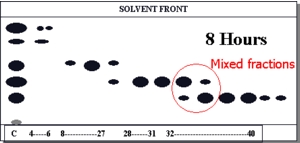 Column Chromatography TLC Plate