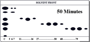 Flash Chromatography TLC Plate